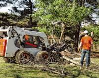 Hendersonville Tree Service Experts image 3